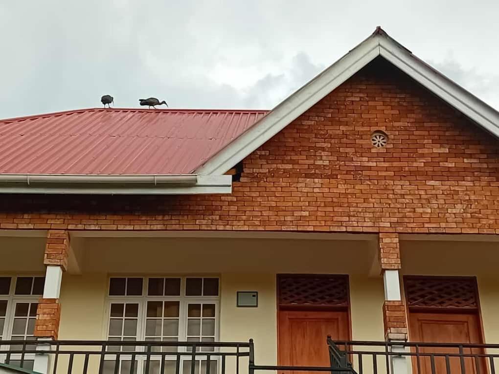 Seven Seven B&B Arusza Zewnętrze zdjęcie